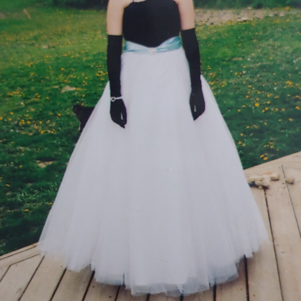 Prom Dress - Picture 8 of 8